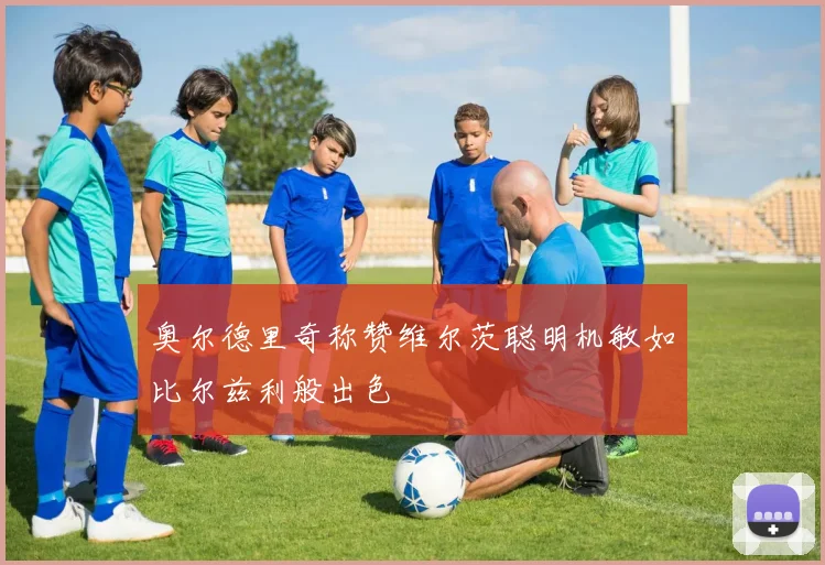 奥尔德里奇称赞维尔茨聪明机敏如比尔兹利般出色