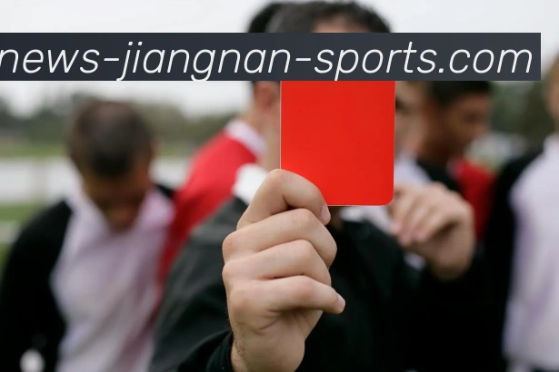 江南体育APP 封面图