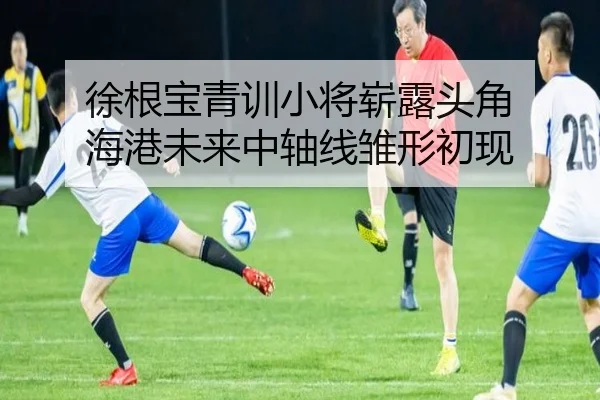 徐根宝青训小将崭露头角 海港未来中轴线雏形初现
